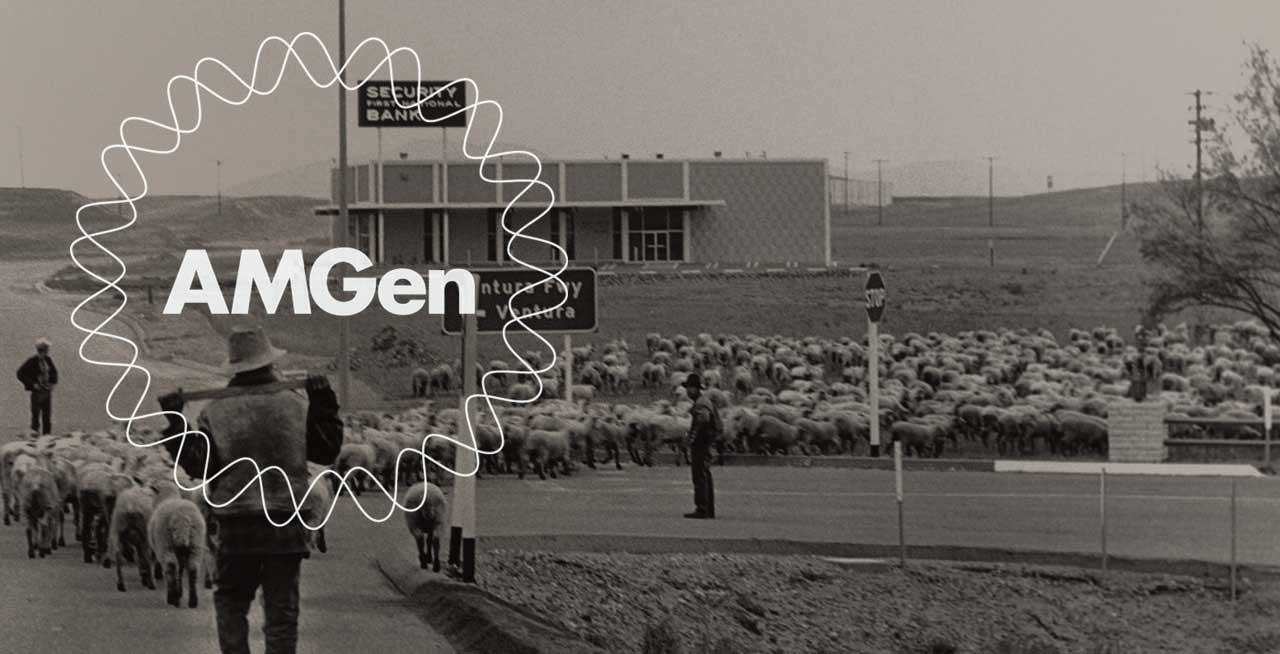 Eine schwarz-weiße Fotografie zeigt eine große Schafherde, die auf einer Straße in Richtung einer Kreuzung getrieben wird. Zwei Schäfer führen die Schafe, einer im Vordergrund mit Hut und Stab und ein anderer im Hintergrund. Die Kreuzung hat Straßenschilder mit der Aufschrift "Ventura Fwy" und "Venture." Im Hintergrund befindet sich ein Gebäude mit einem Schild, auf dem "Security Bank" steht. Die Landschaft ist offen und ländlich, mit spärlicher Vegetation und entfernten Hügeln.