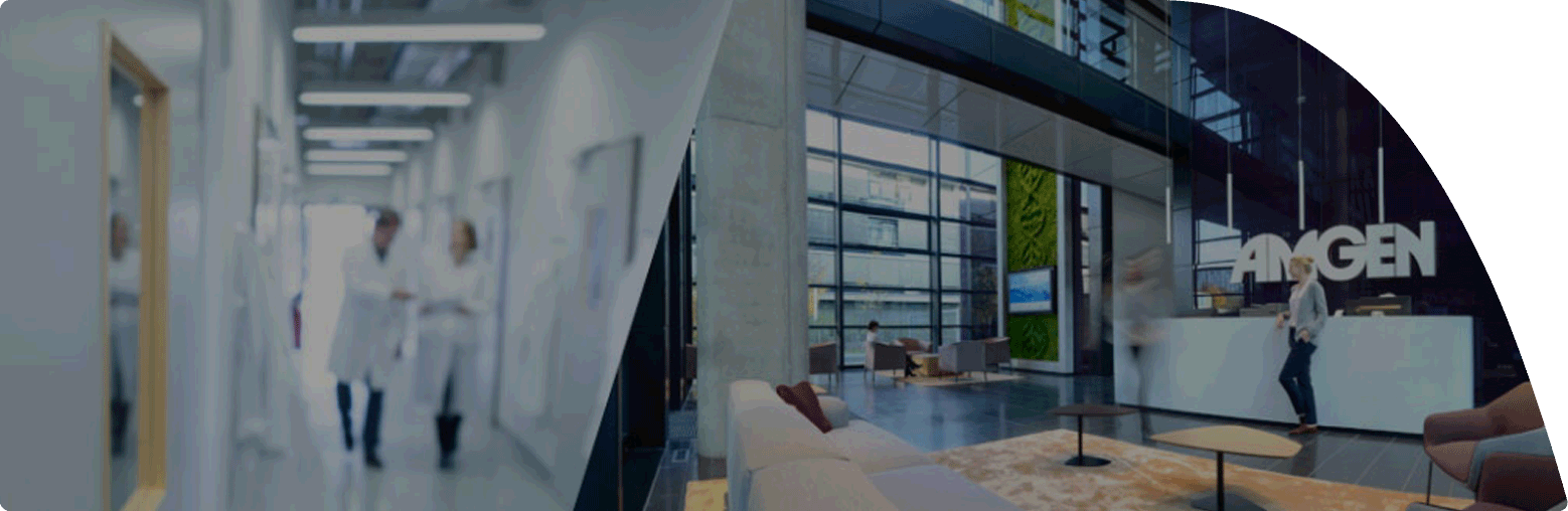 Collage aus zwei Bildern: Der linke Teil zeigt eine unscharfe Szene von zwei Forschenden im weißen Laborkittel auf einem hellen Laborflur bei der Amgen Research (Munich) GmbH. Der rechte Teil zeigt den Empfangsbereich bei der Amgen GmbH mit einem modernen, offenen Design, Sitzgelegenheiten und vertikaler Pflanzenwand. Eine Person steht am Empfangstresen.